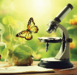 Explore Our Unique Preschool Learning Stations